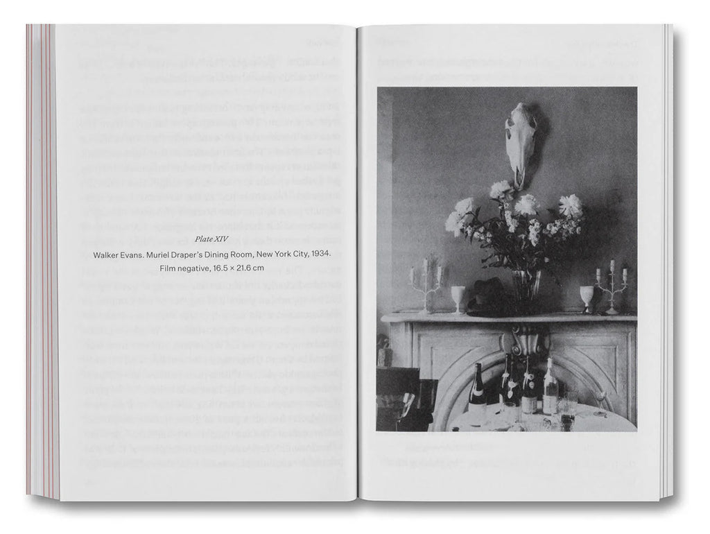 Olivier Richon - The Devouring Eye: Photography and the Mouth