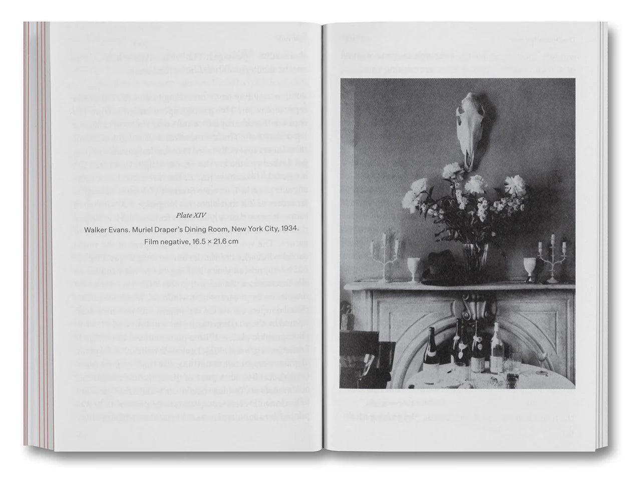 Olivier Richon - The Devouring Eye: Photography and the Mouth