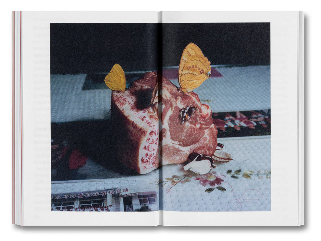 Olivier Richon - The Devouring Eye: Photography and the Mouth