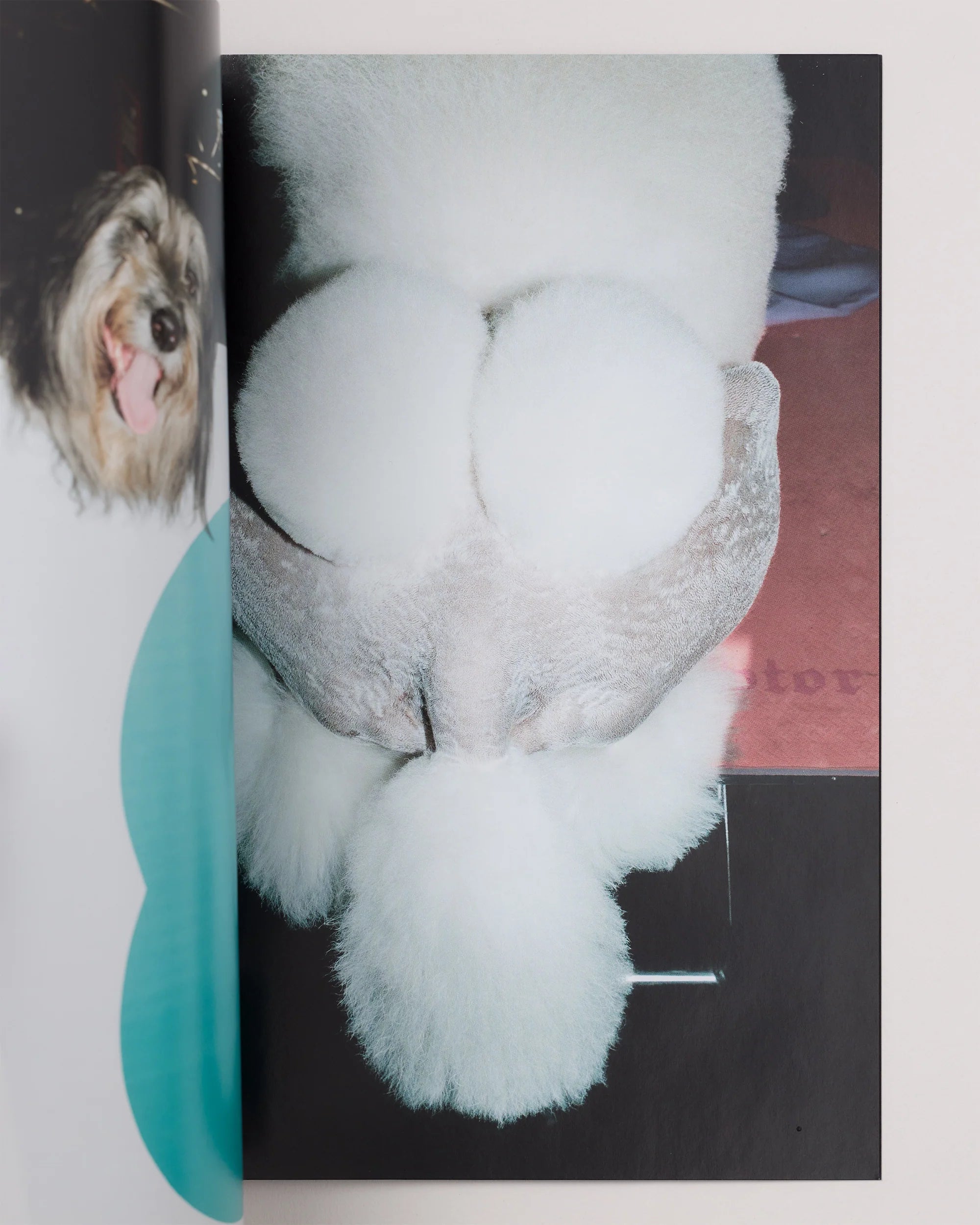 Unemployed Magazine - Issue 8