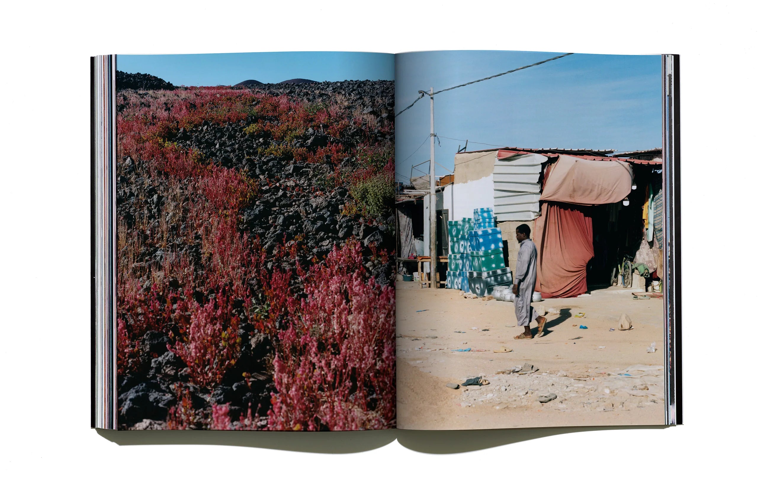 Useless Fighters - Issue 2