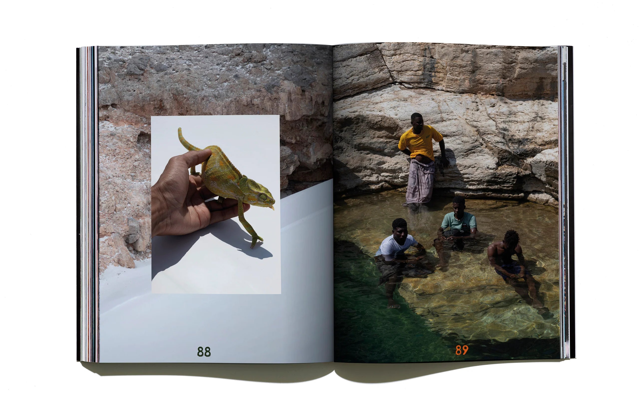 Useless Fighters - Issue 2