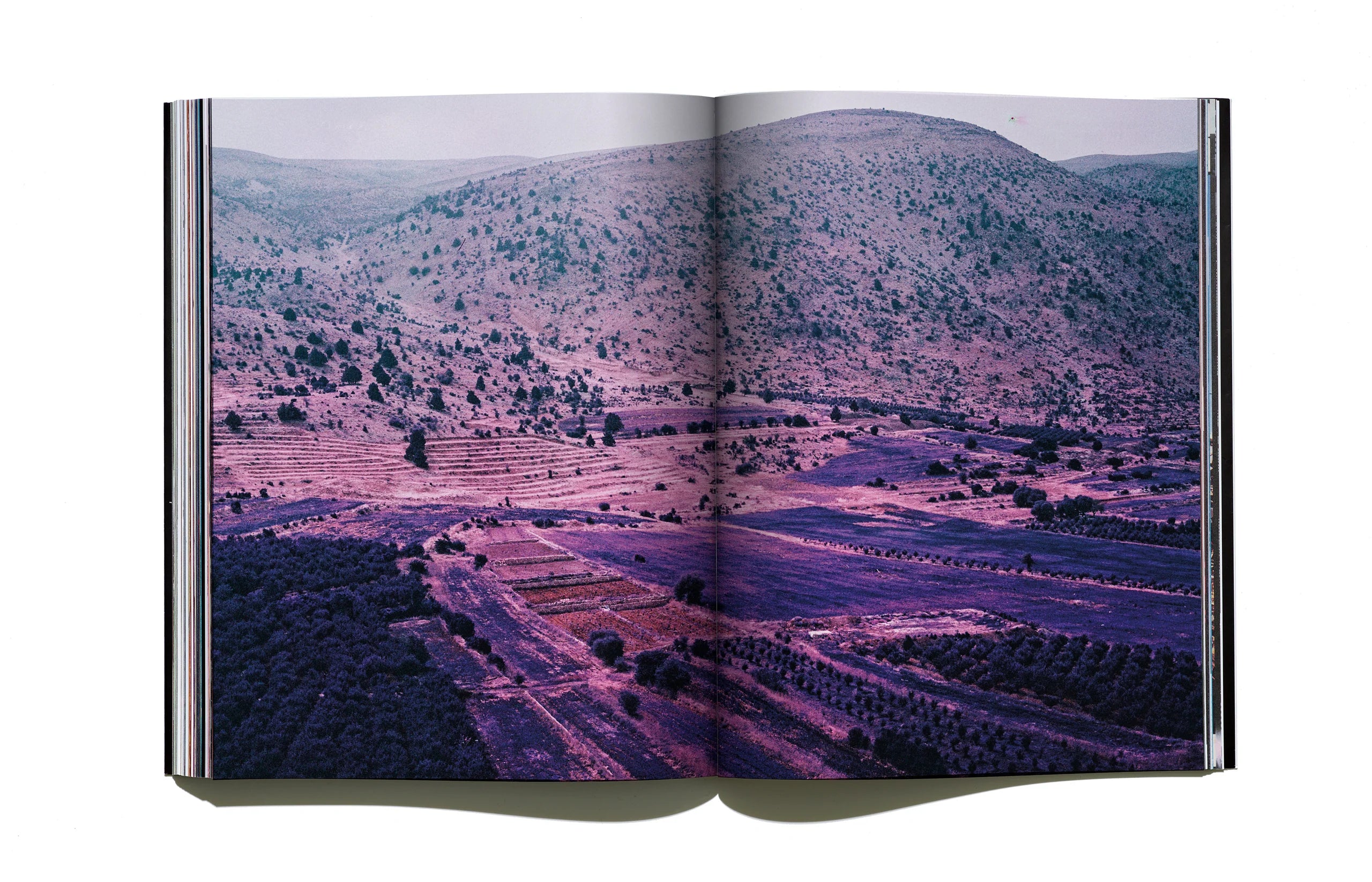 Useless Fighters - Issue 2