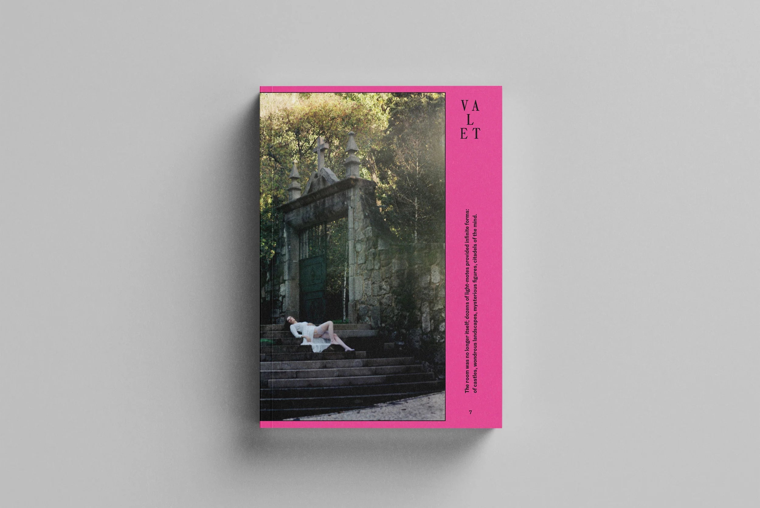 Valet - Issue 7 "Sex"
