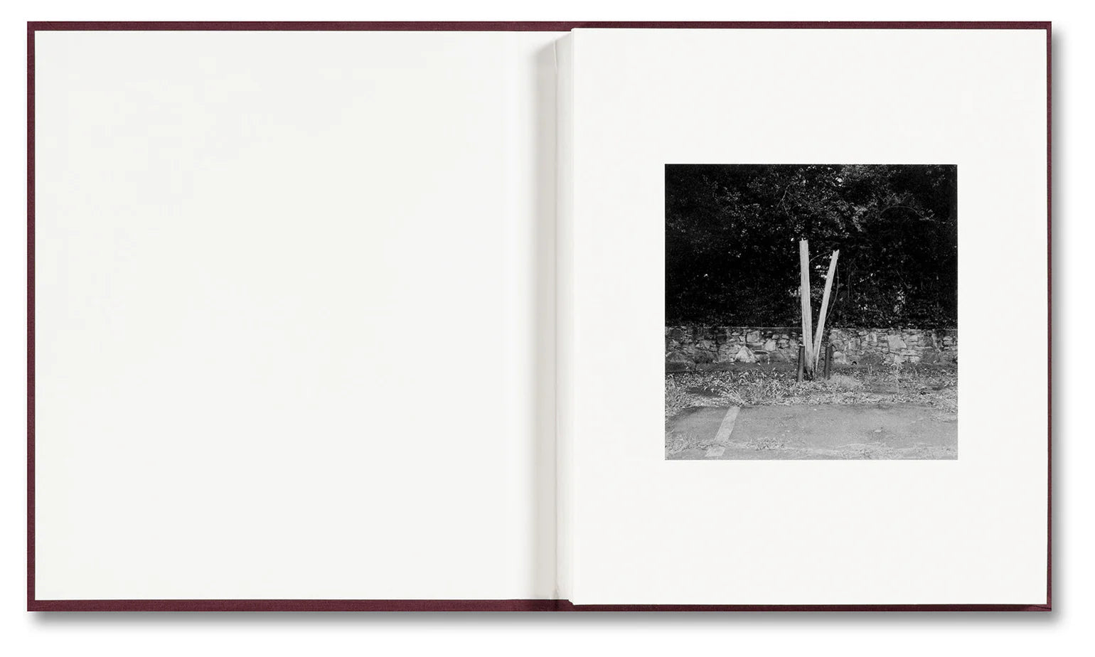 Yorgos Lanthimos - VISCIN