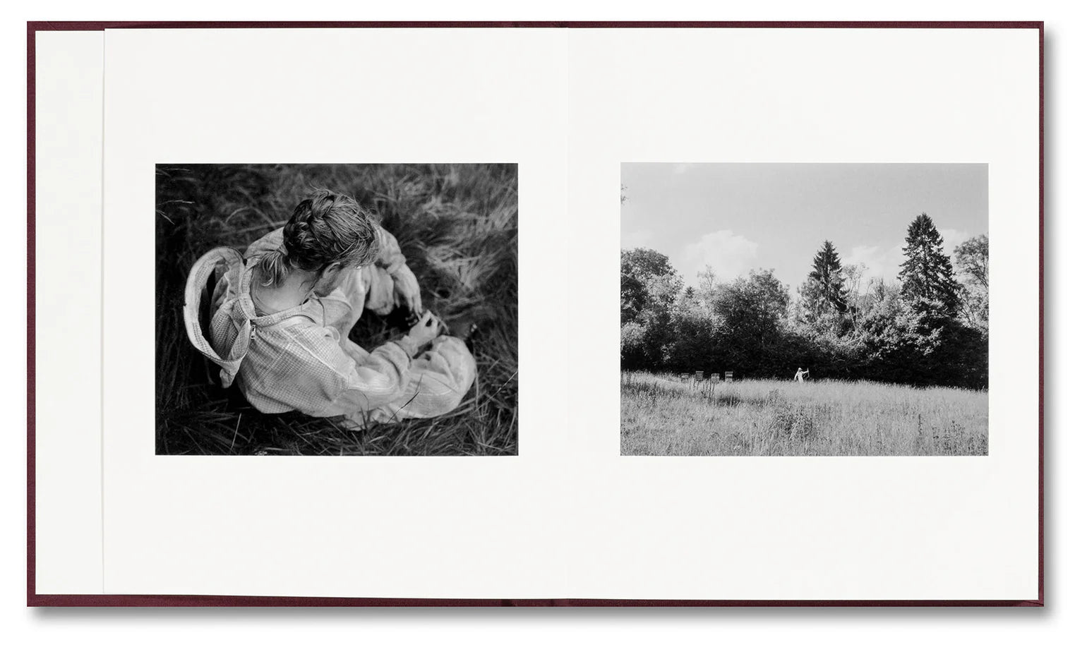 Yorgos Lanthimos - VISCIN