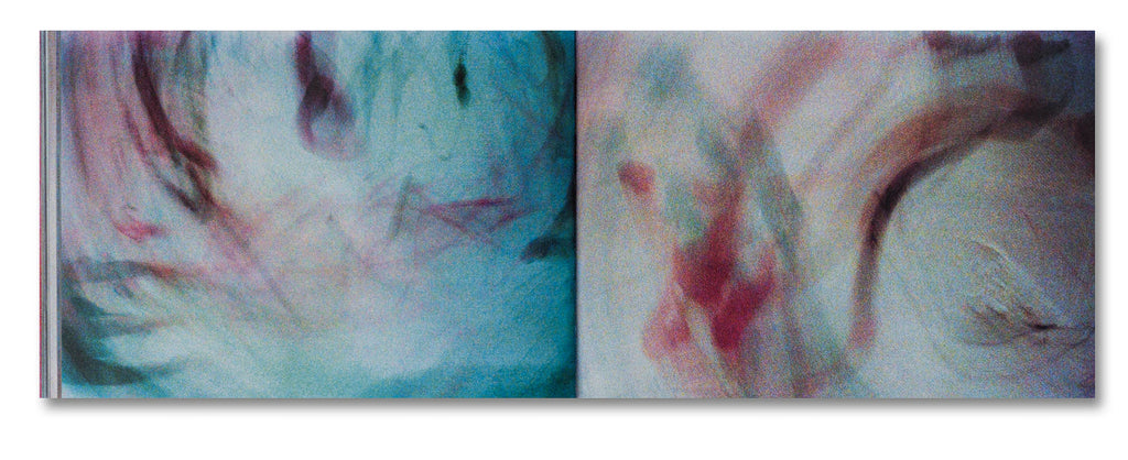 Tacita Dean - Why Cy