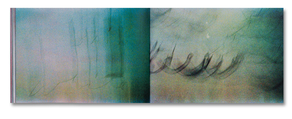 Tacita Dean - Why Cy