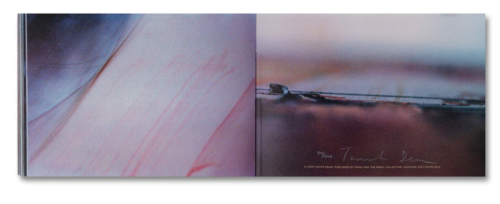 Tacita Dean - Why Cy