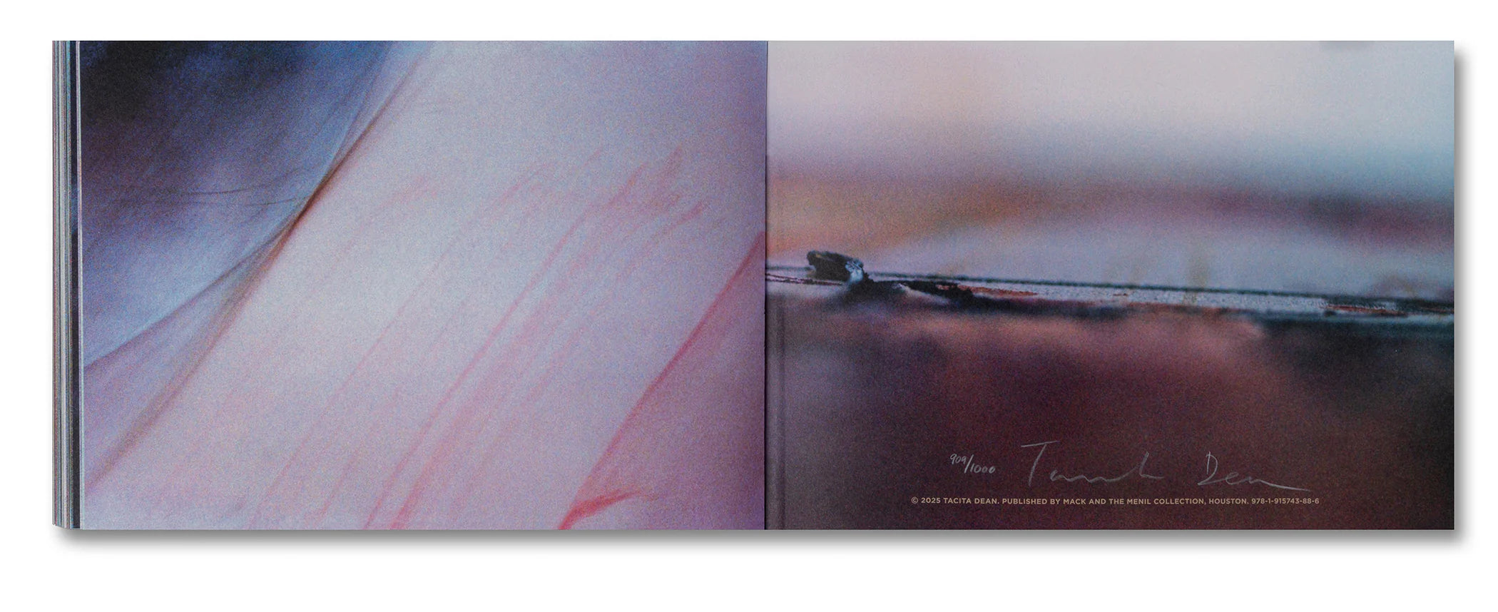 Tacita Dean - Why Cy