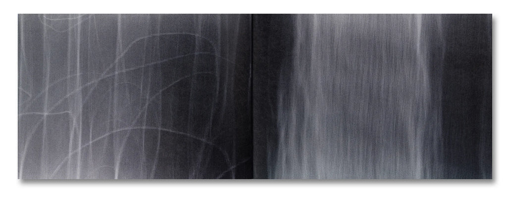 Tacita Dean - Why Cy