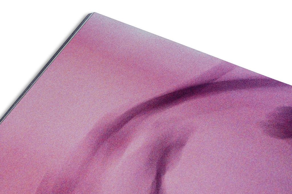 Tacita Dean - Why Cy