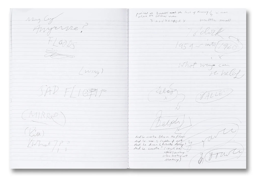 Tacita Dean - Why Cy