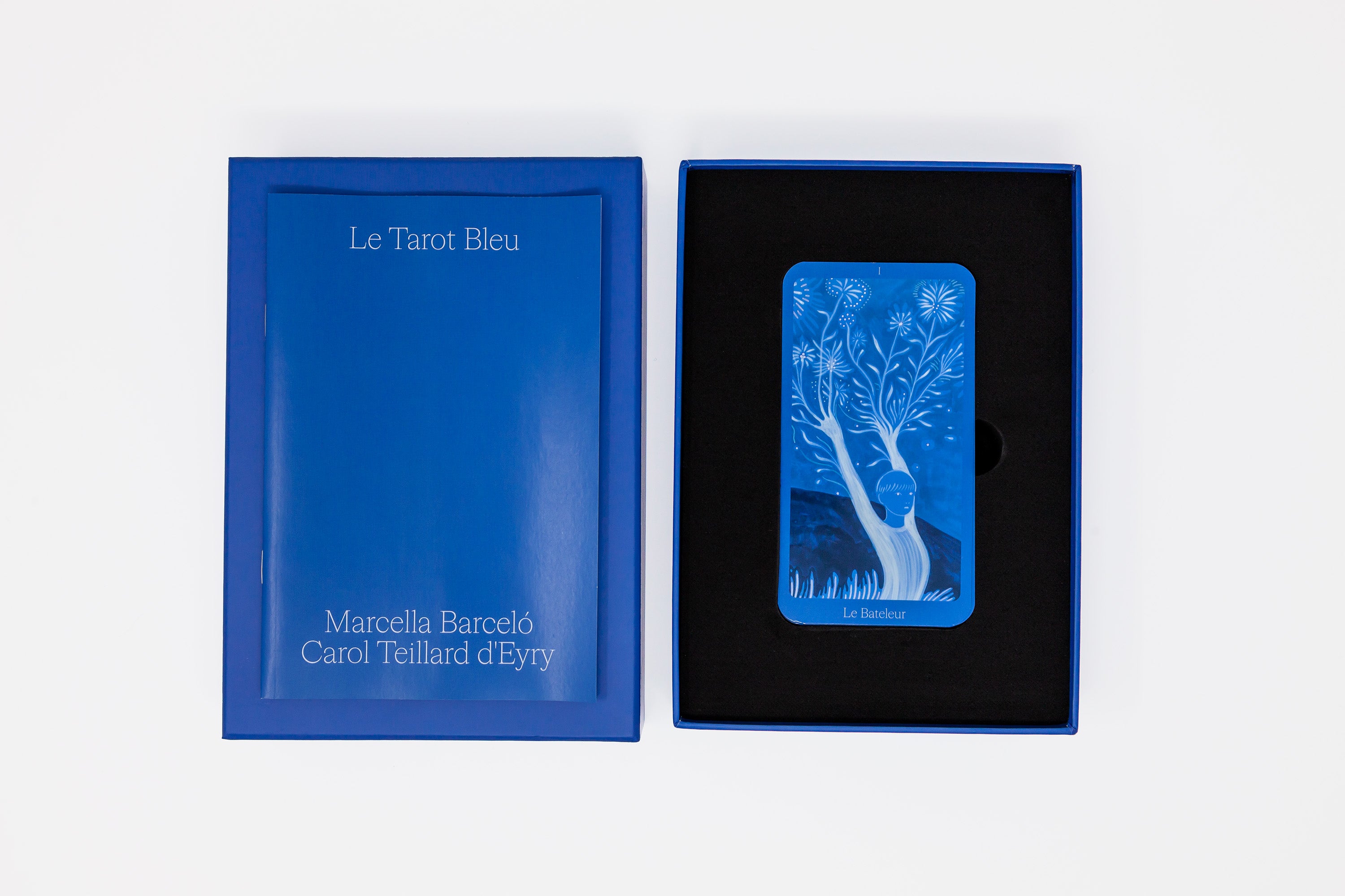 Marcella Barceló & Carol Teillard d'Eyry - Le Tarot Bleu