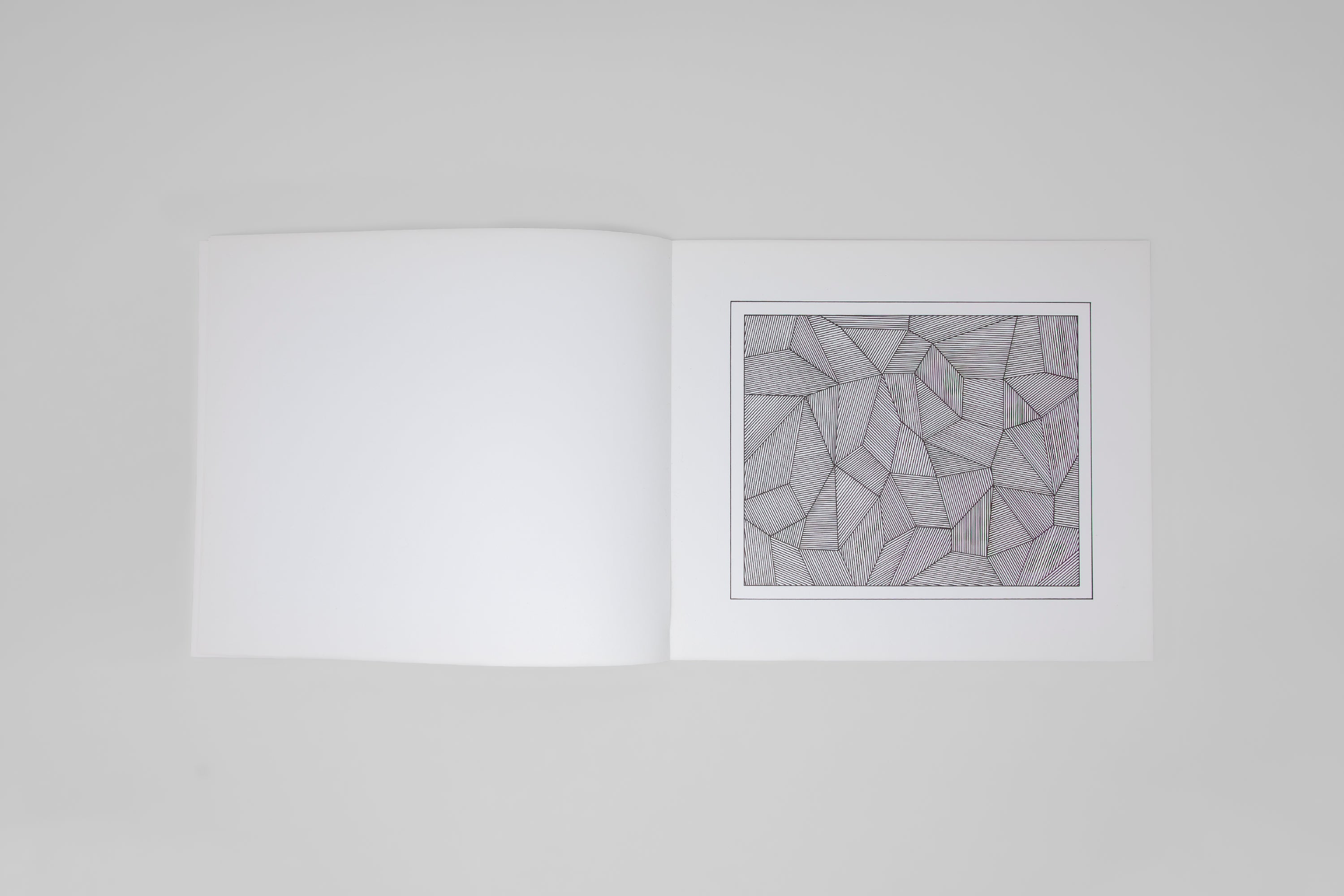 Sol LeWitt - Lines and Formes