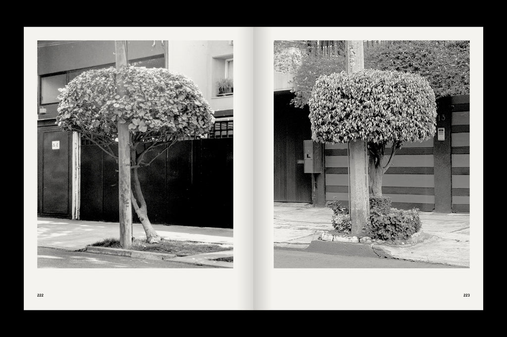 A Guide on Gardening