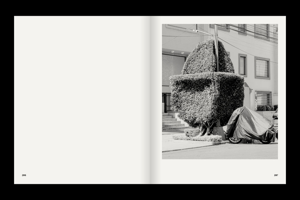 A Guide on Gardening