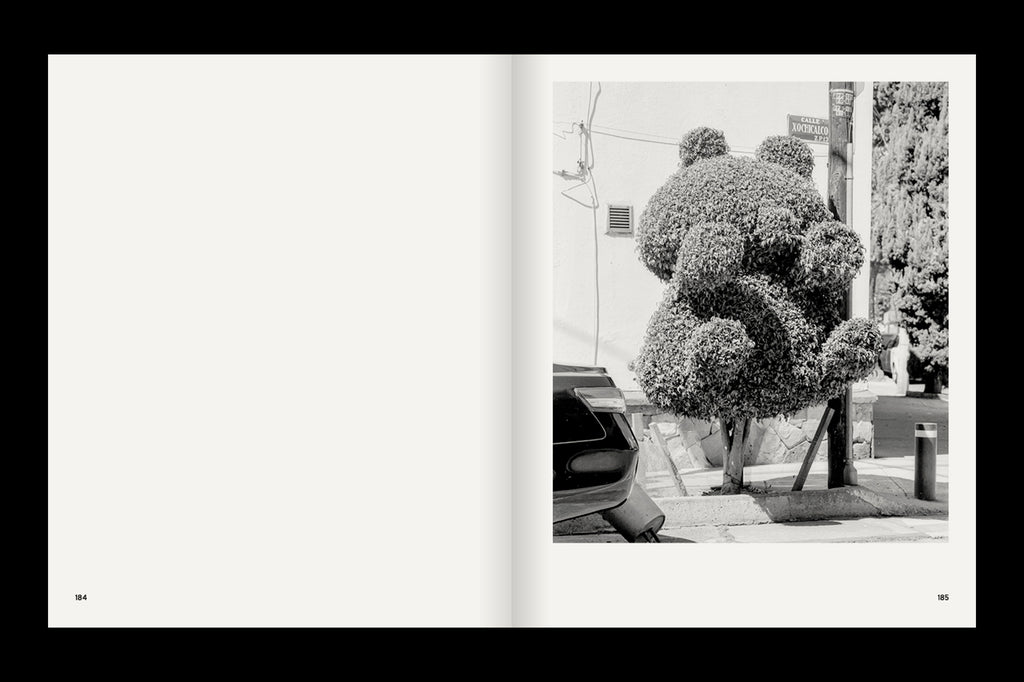 A Guide on Gardening