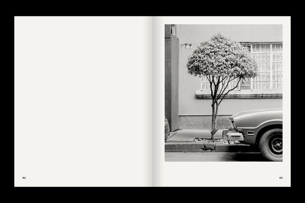 A Guide on Gardening