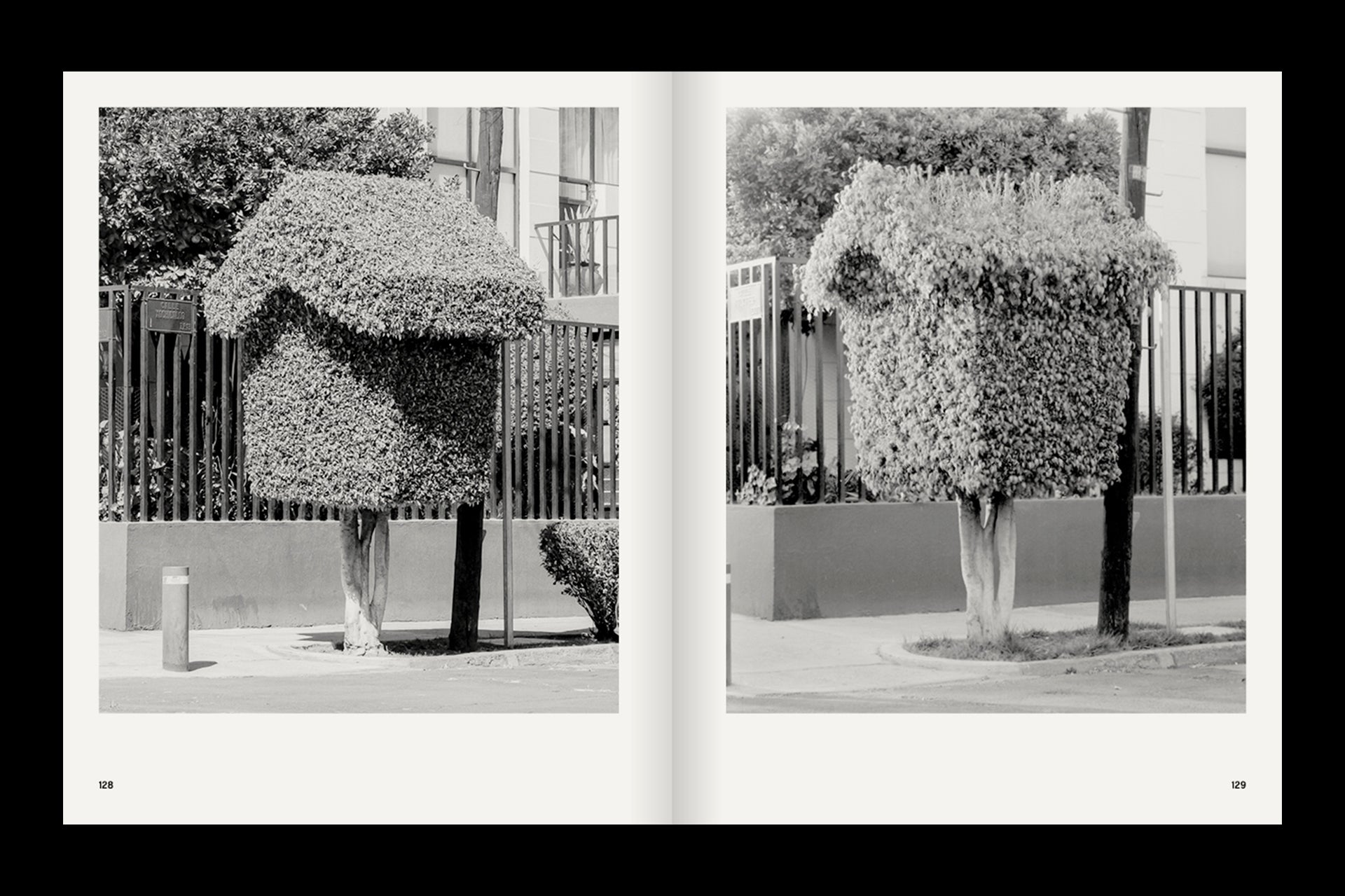 A Guide on Gardening