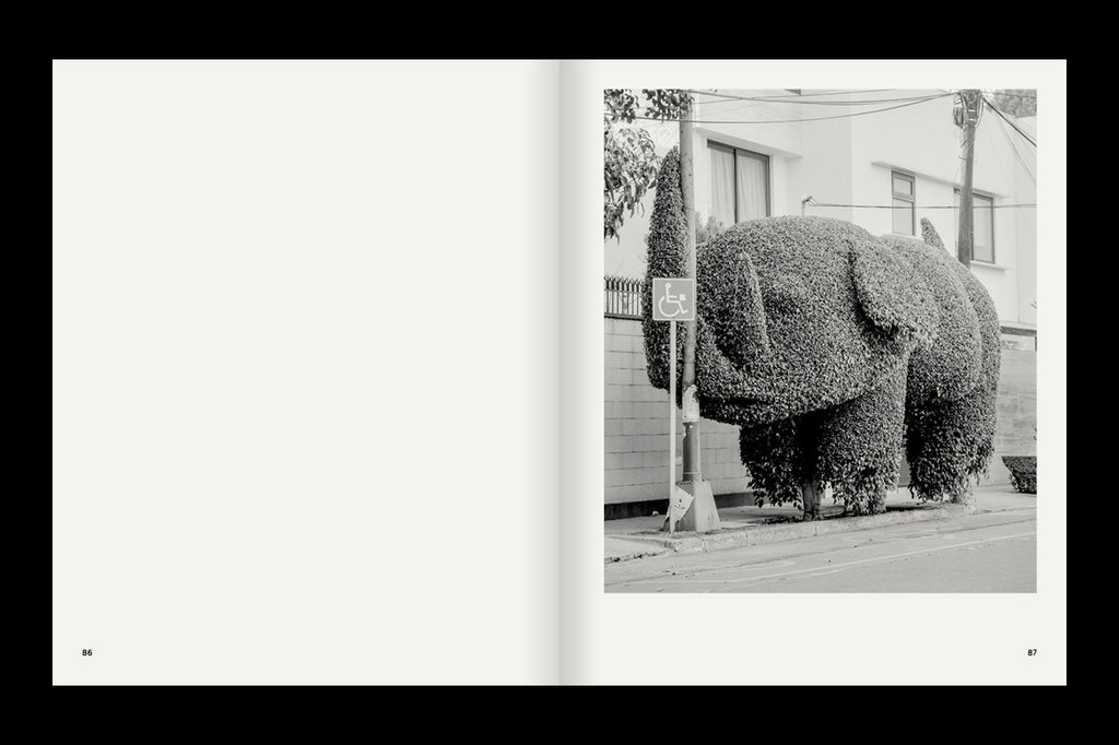 A Guide on Gardening