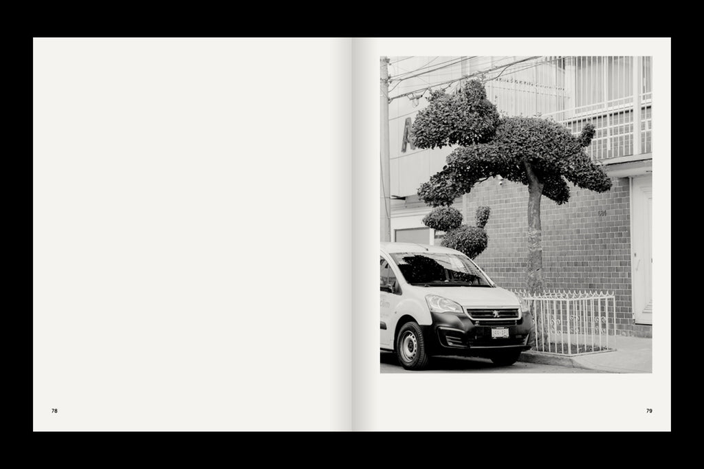 A Guide on Gardening