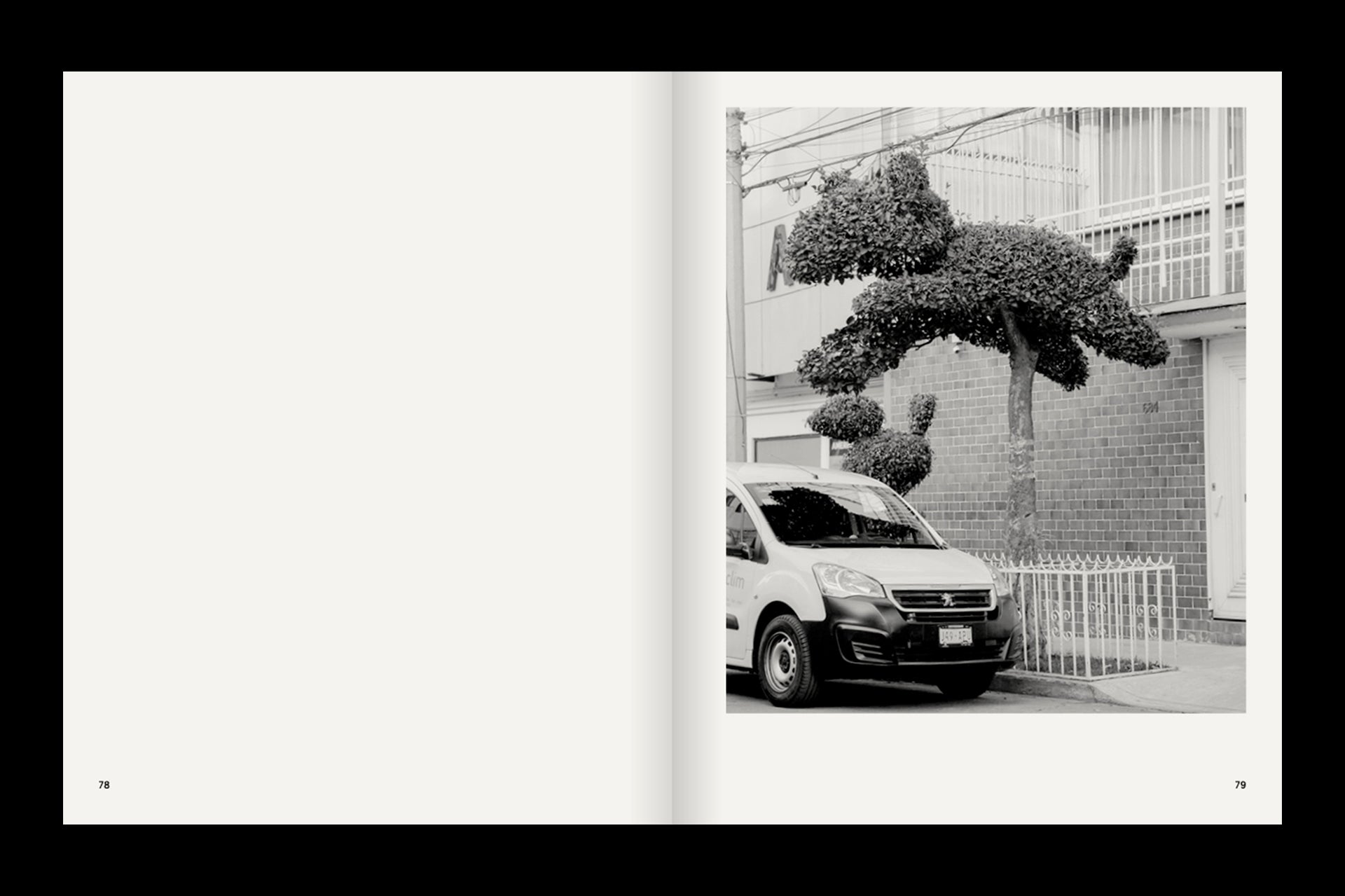 A Guide on Gardening