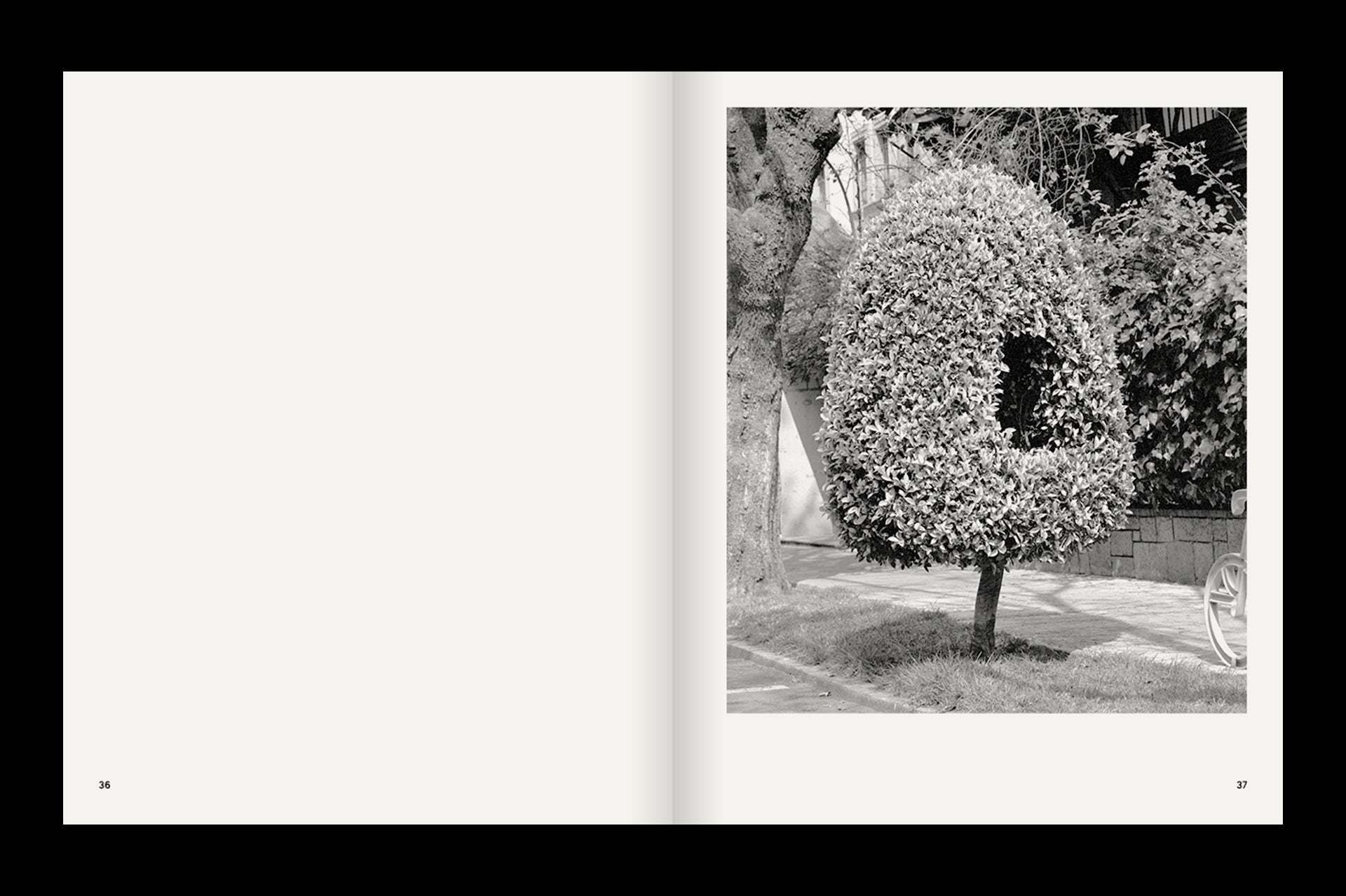 A Guide on Gardening