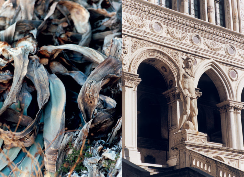 Jonathan Schmidt-Ott - St. Gil