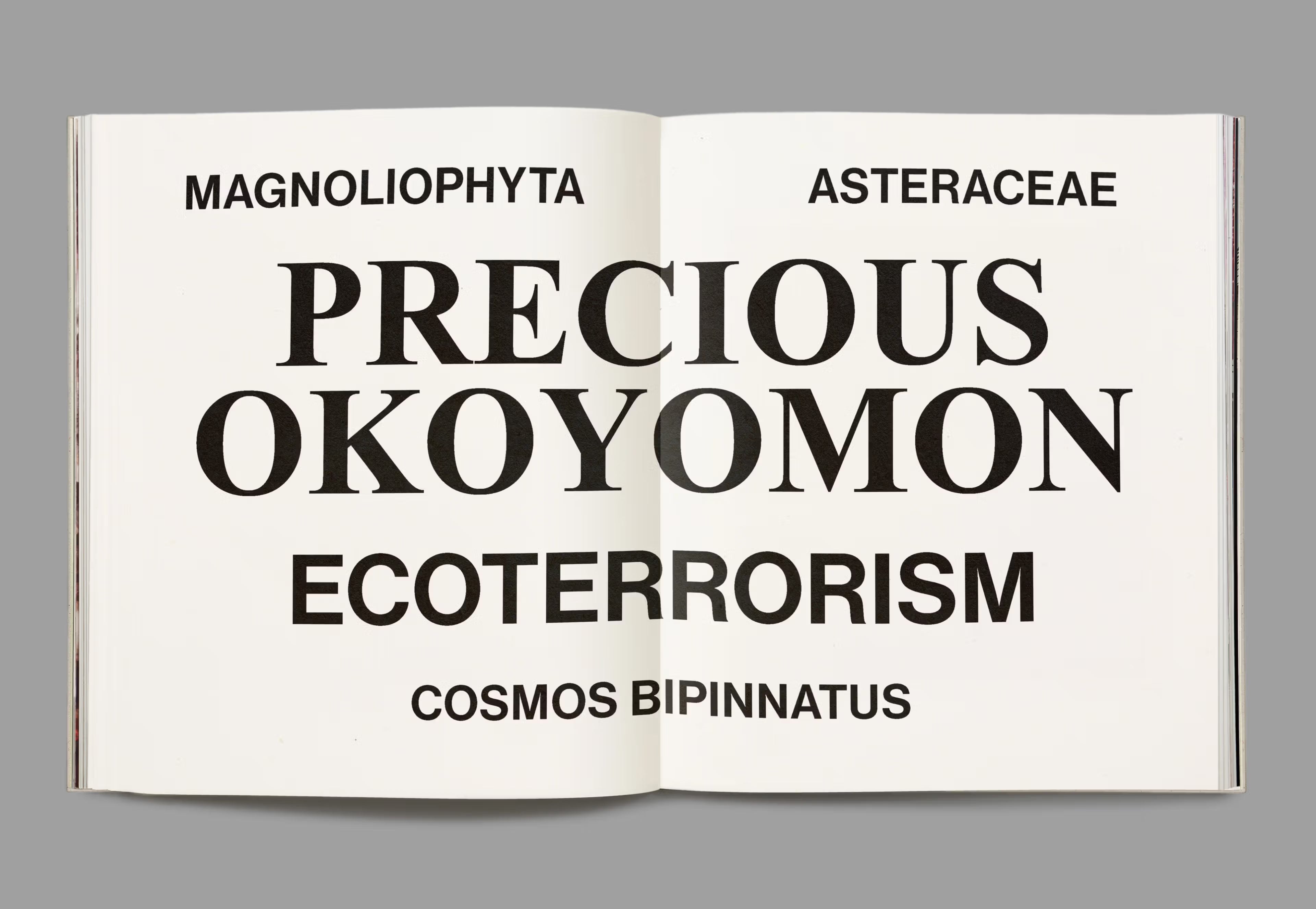 Magma - Issue N°3 "Archive of the Future"