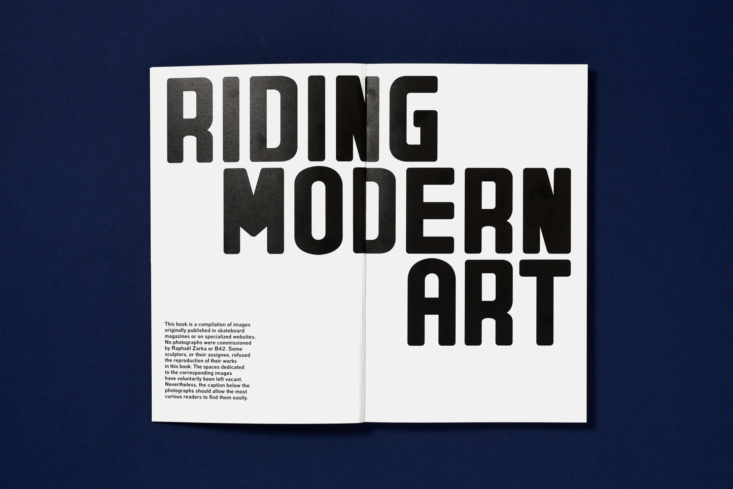 Raphaël Zarka - Riding Modern Art