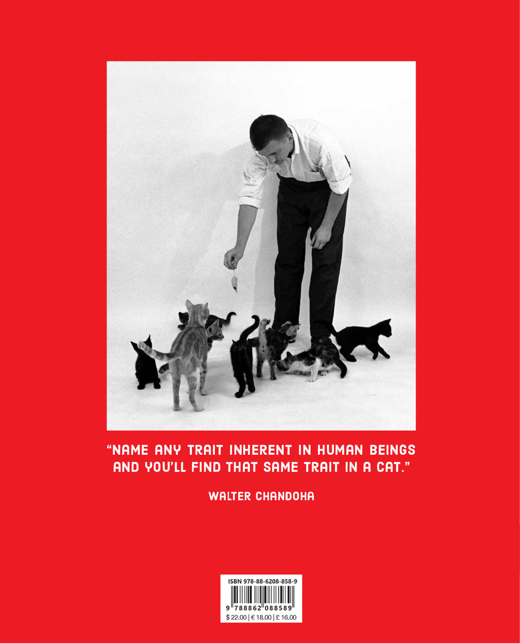 Walter Chandoha - Family Cats (From the archive 1950-1969)