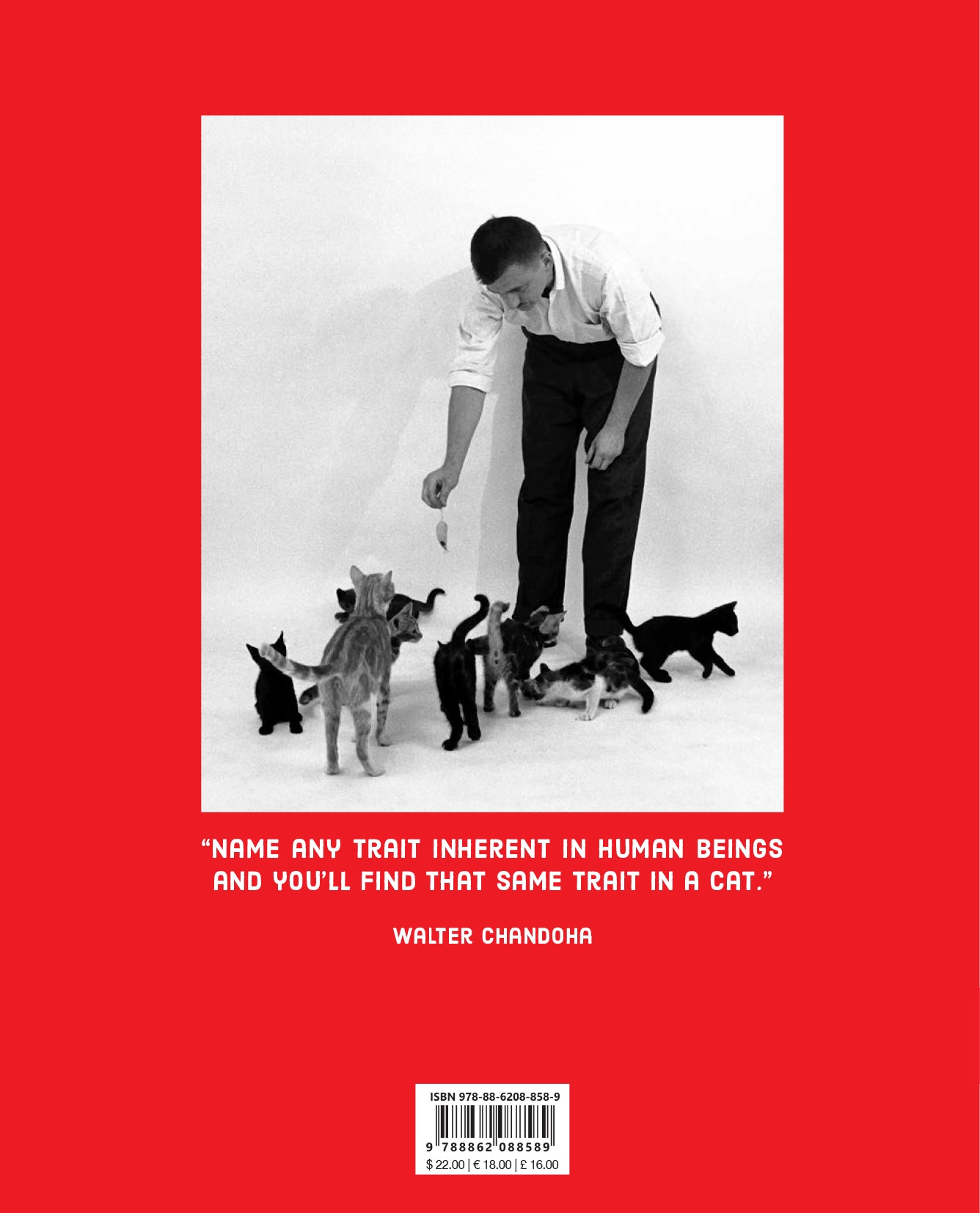 Walter Chandoha - Family Cats (From the archive 1950-1969)