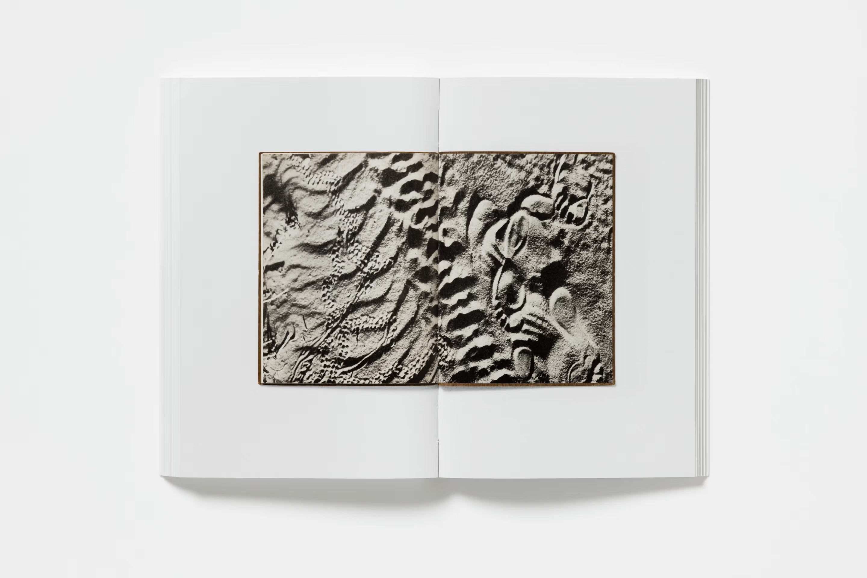 John Morgan - Baskerville’s Teardrop Explodes