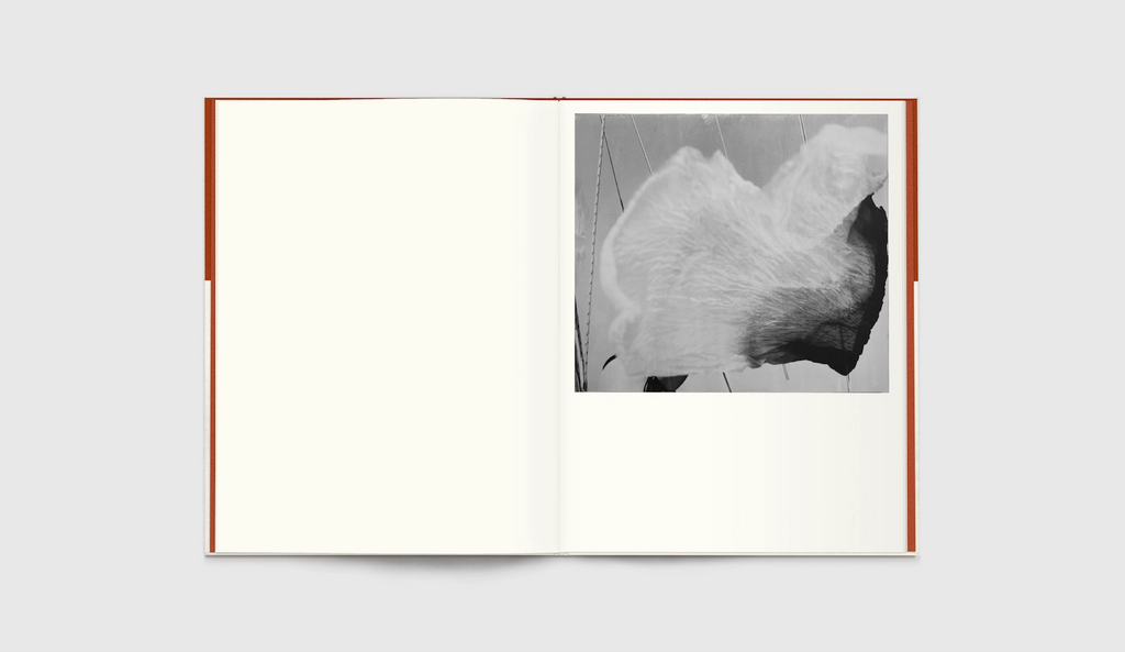 Lore Stessel - As the Sky Remembers the Sea