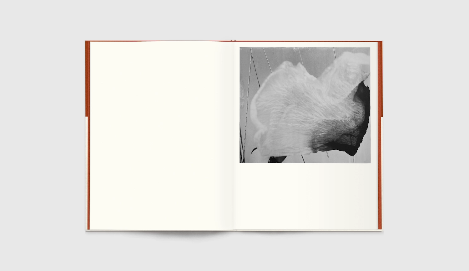 Lore Stessel - As the Sky Remembers the Sea