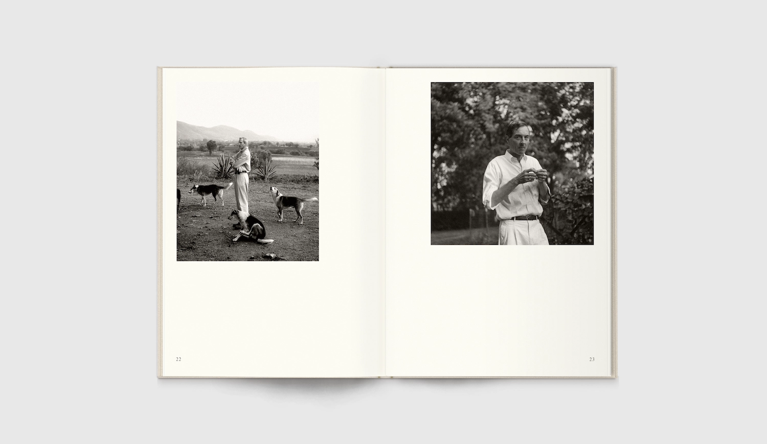 David M. Skoudy (Paris Image Unlimited) - The Pictures on My Wall