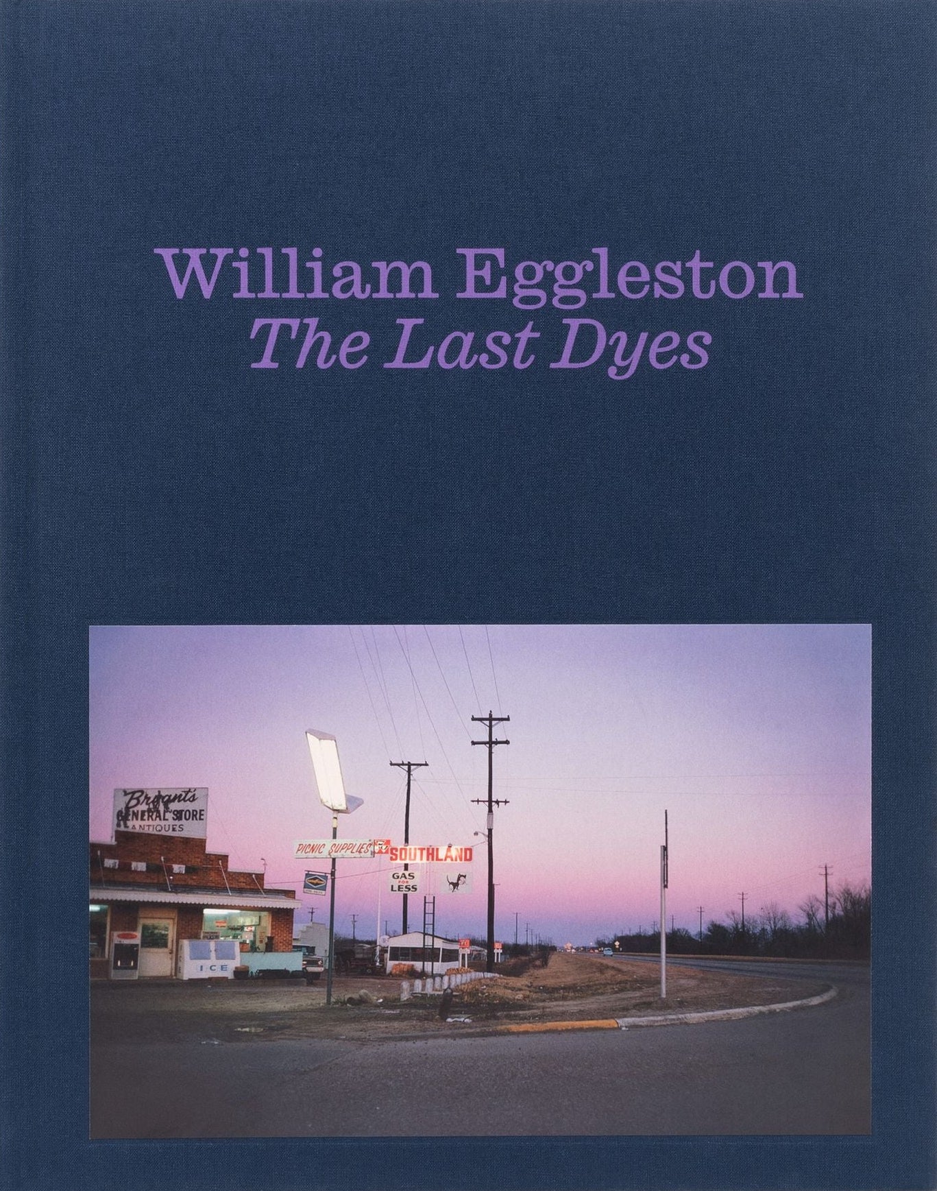 William Eggleston - The Last Dyes – Yvon Lambert Paris