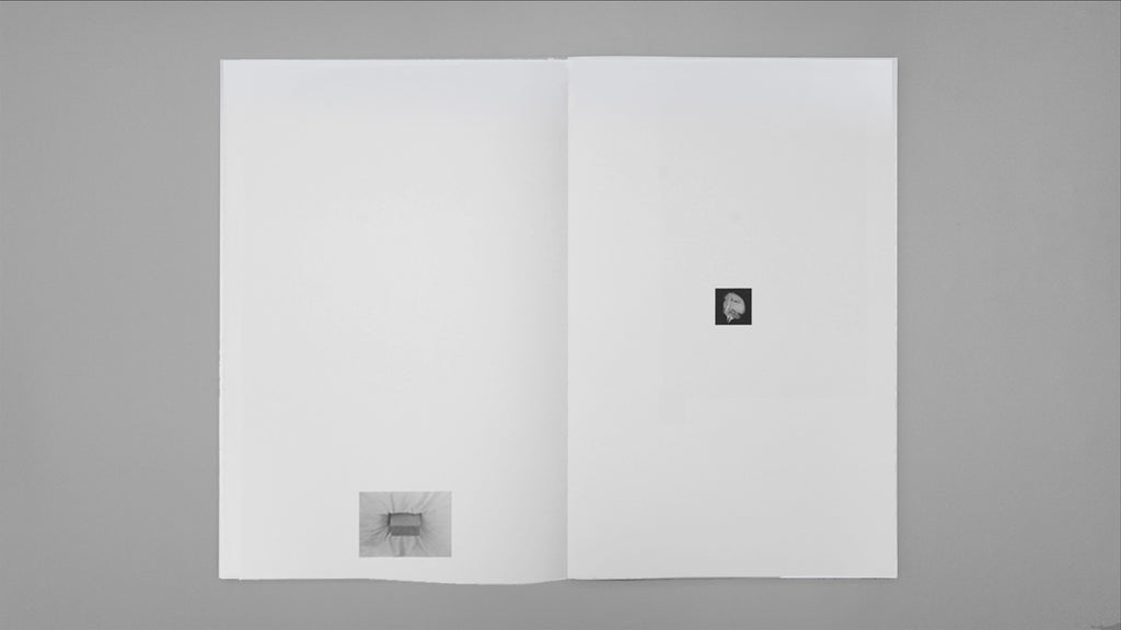 Kazuhei Kimura - counterpoint