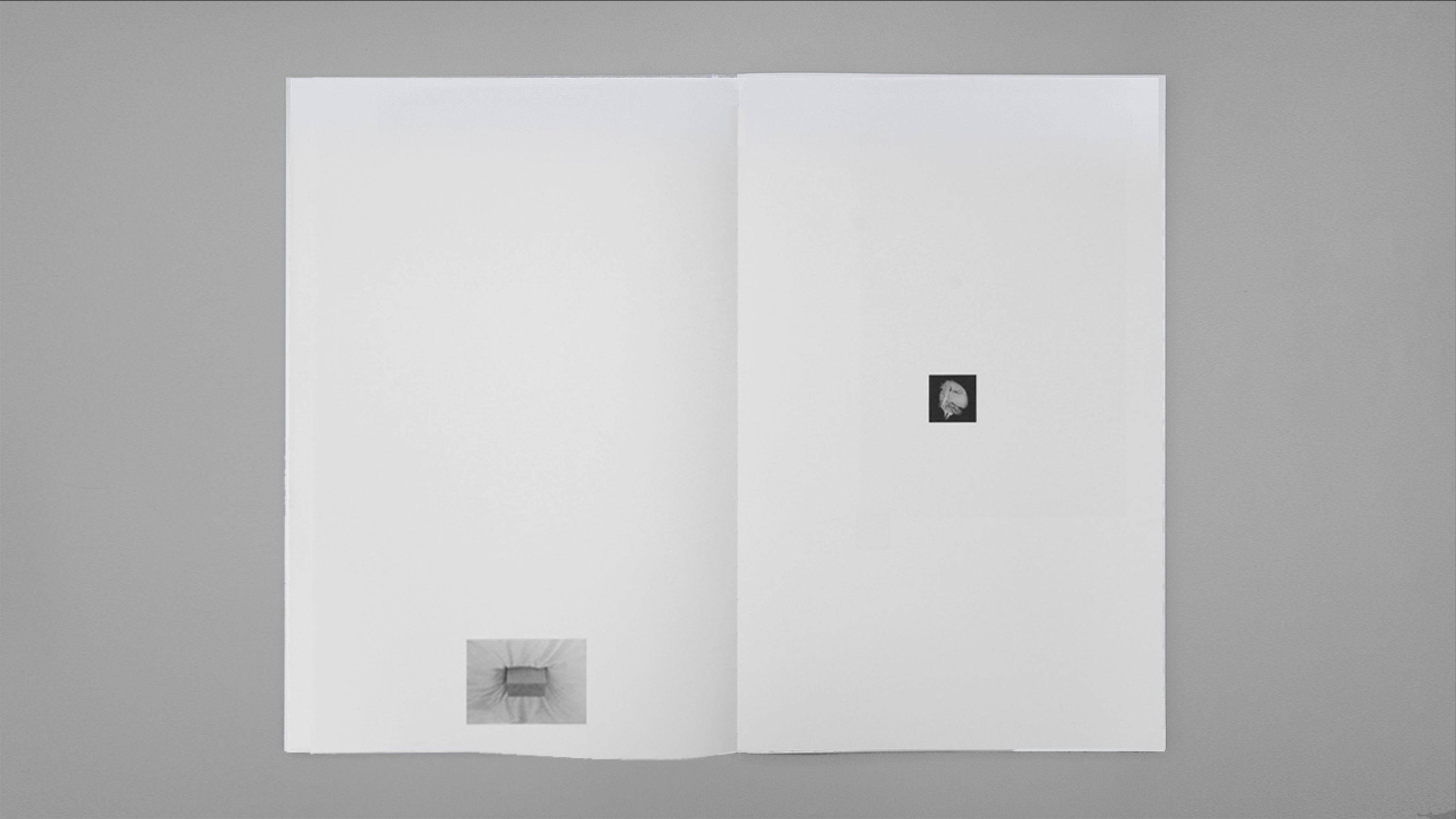 Kazuhei Kimura - counterpoint