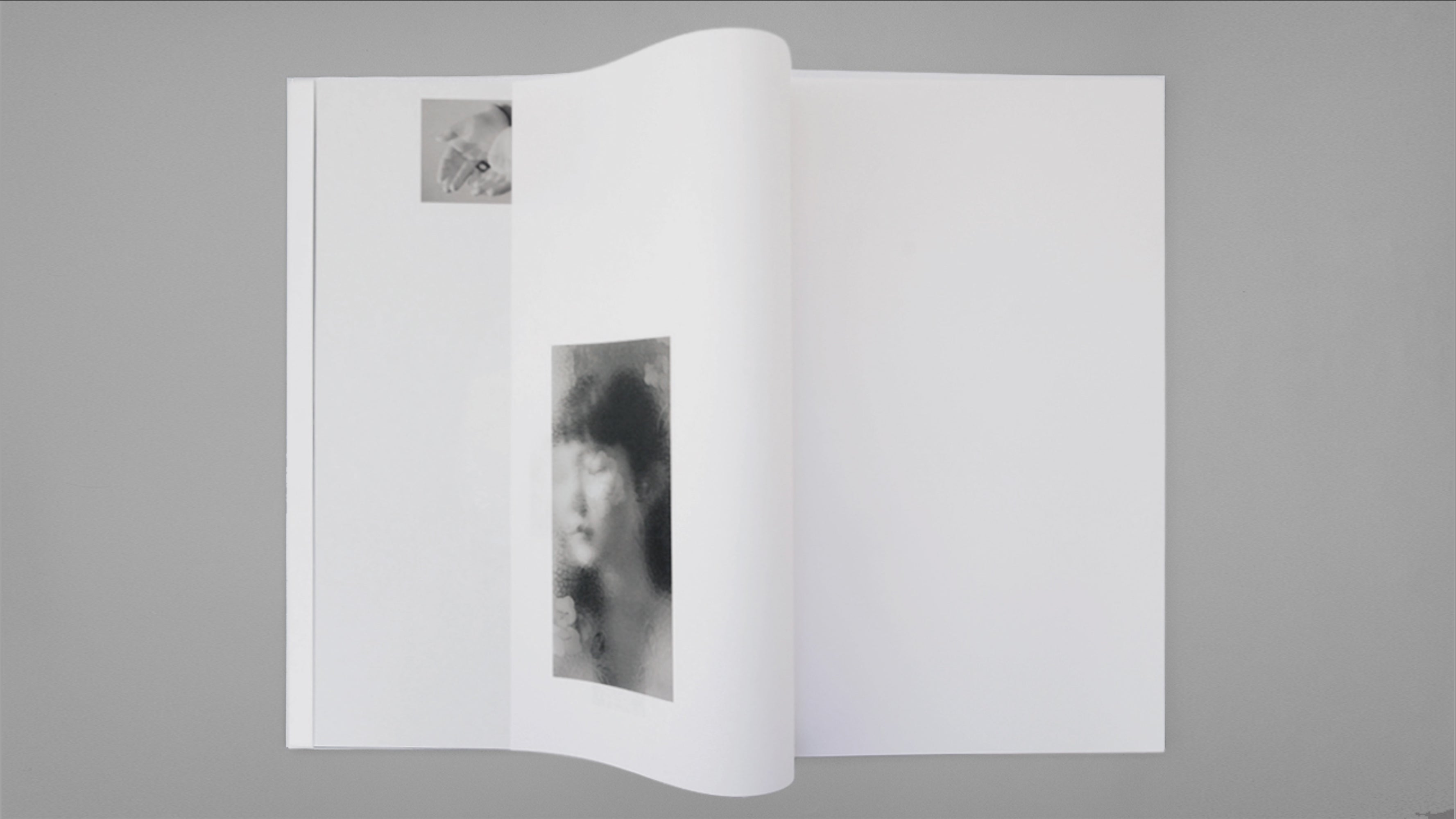 Kazuhei Kimura - counterpoint