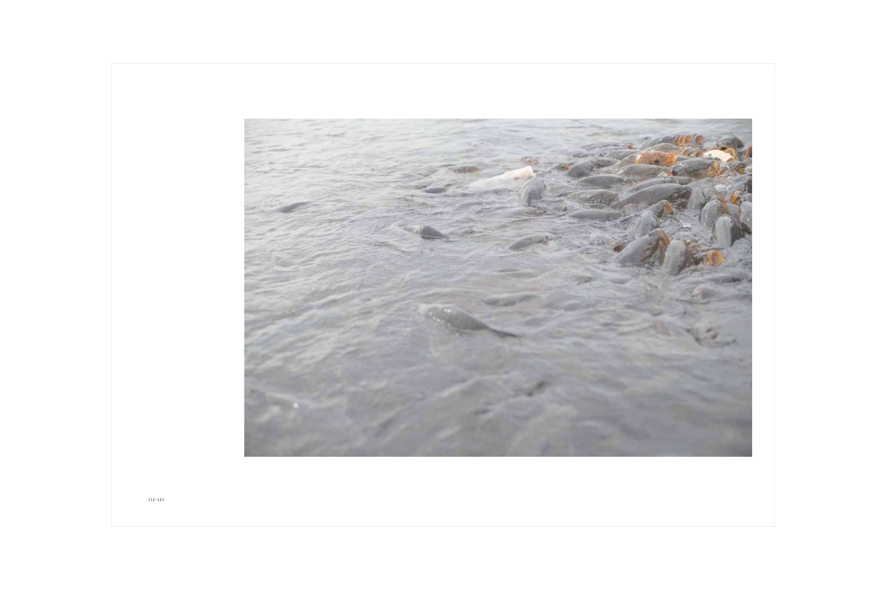 Rinko Kawauchi, Masatake Shinohara - Inhabiting Light, Dialogue on the Edge of the Everyday World