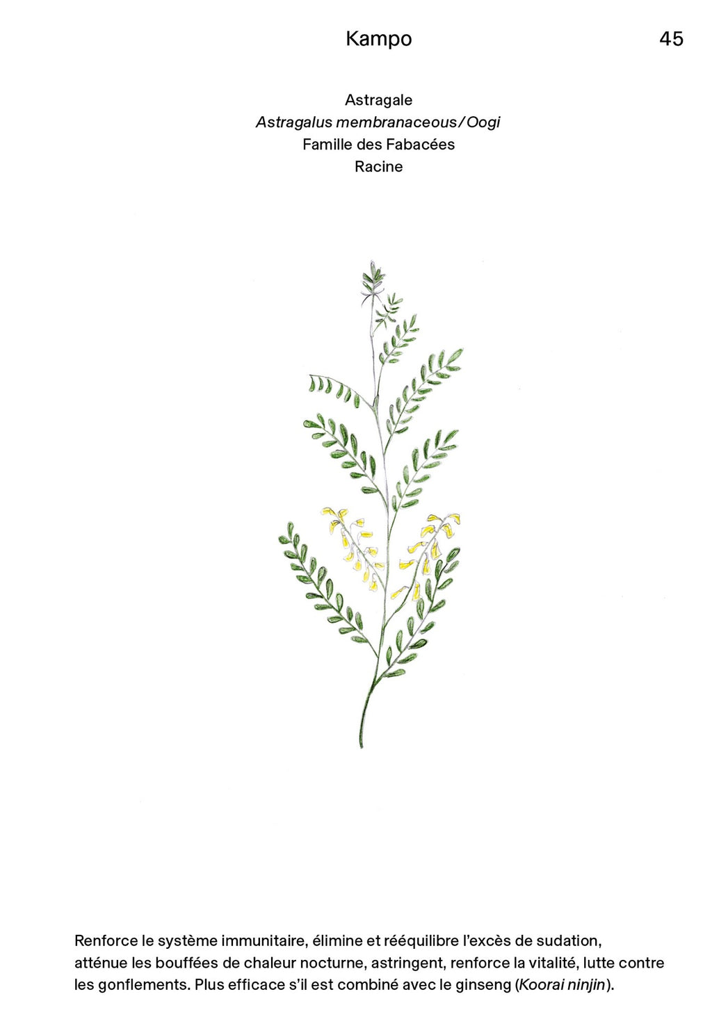 Manuel N°02 - Kakuro Sugimoto - Kampo