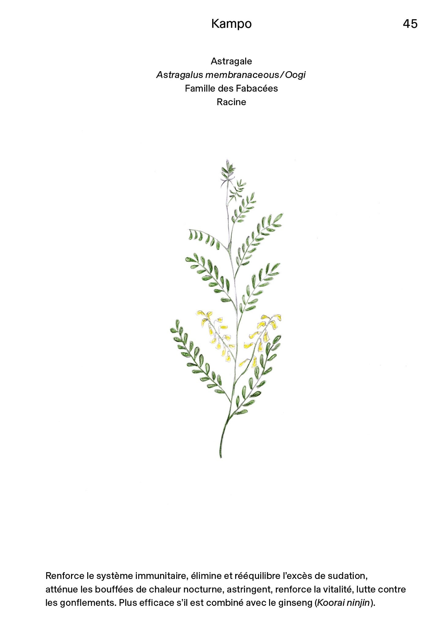 Manuel N°02 - Kakuro Sugimoto - Kampo