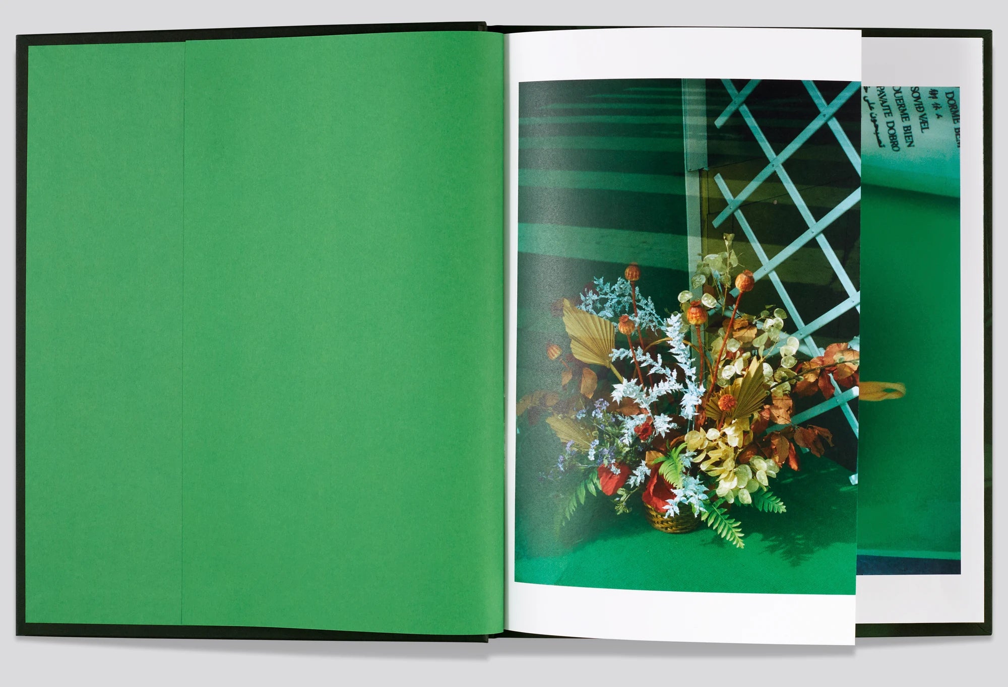 Viviane Sassen - Folio