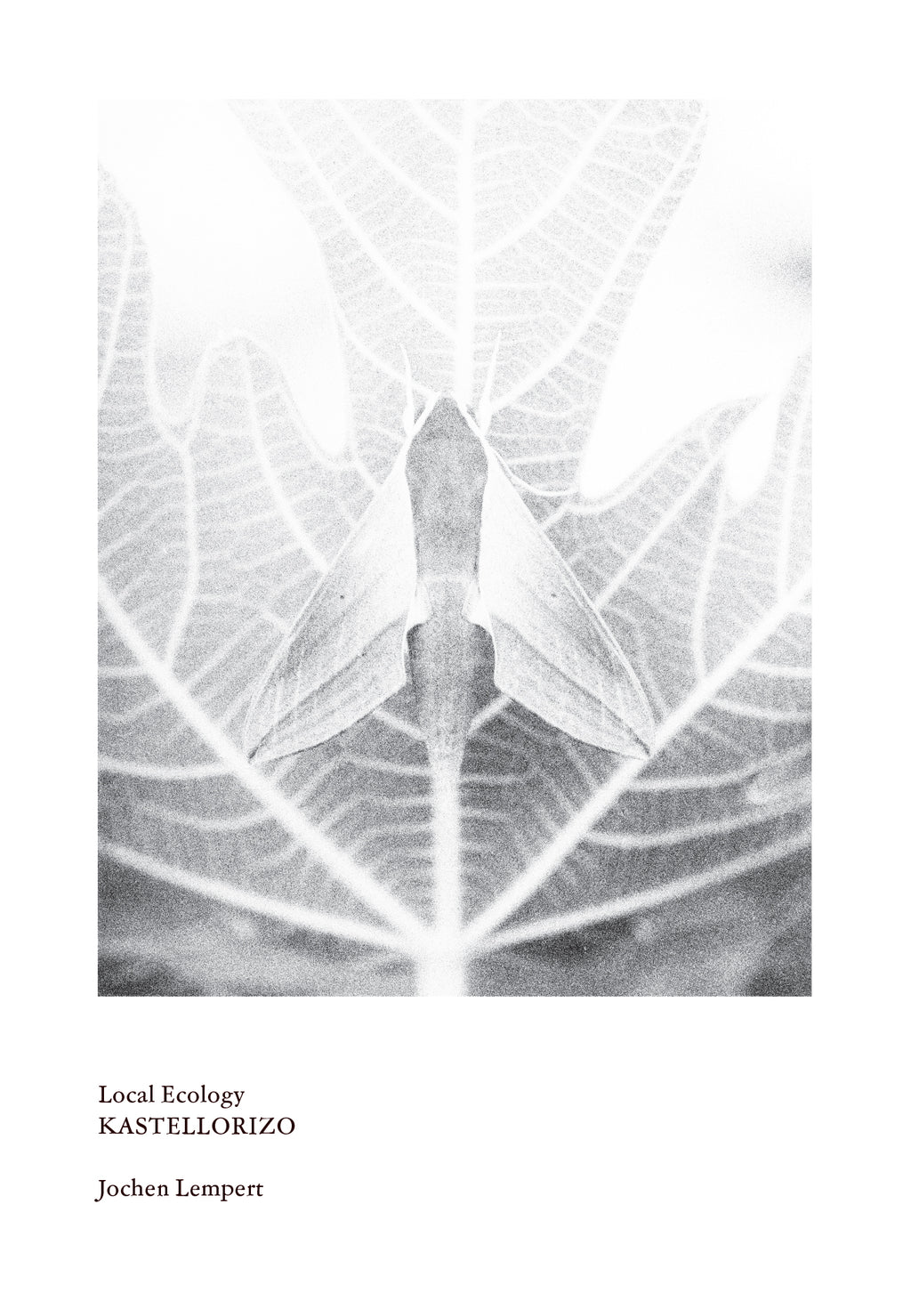 Jochen Lempert - Local Ecology - Kastellorizo