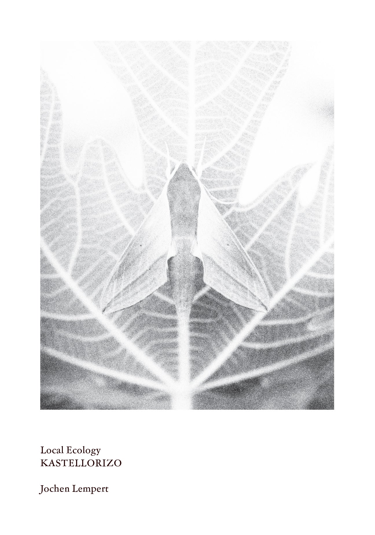 Jochen Lempert - Local Ecology - Kastellorizo
