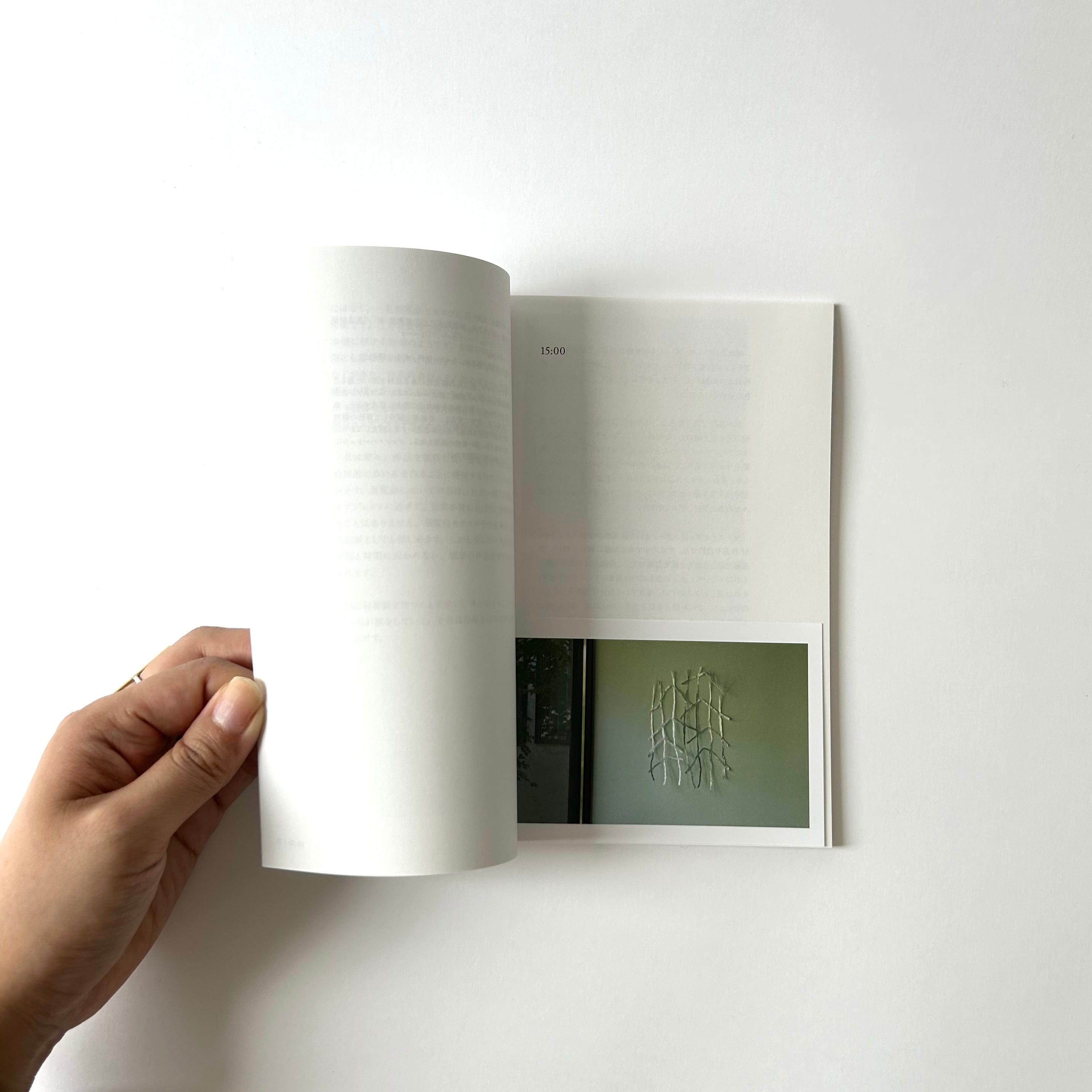 Riko Kinoshita - Picnic at 25 o’clock