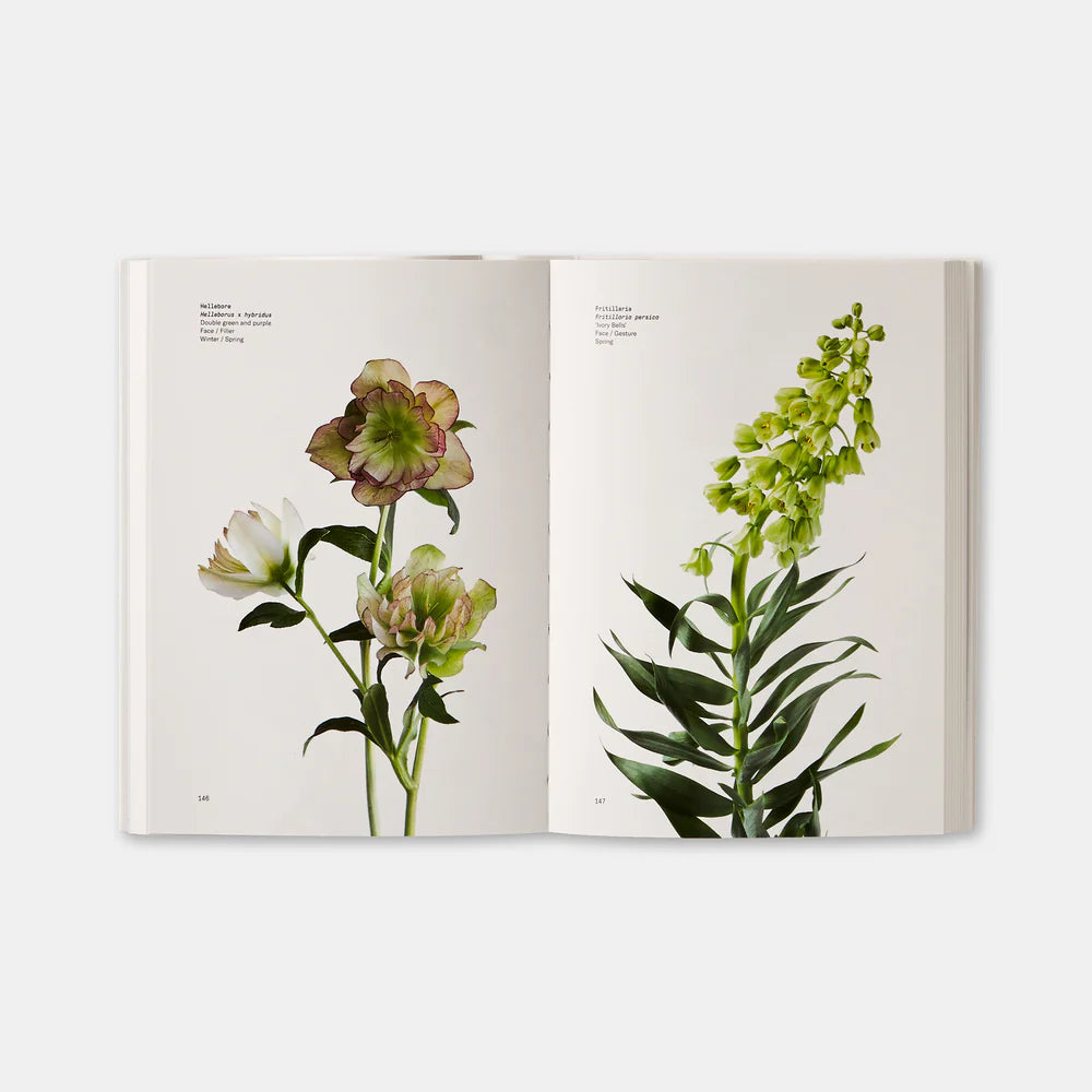 Taylor and Michael Putnam - Flower Colour Guide