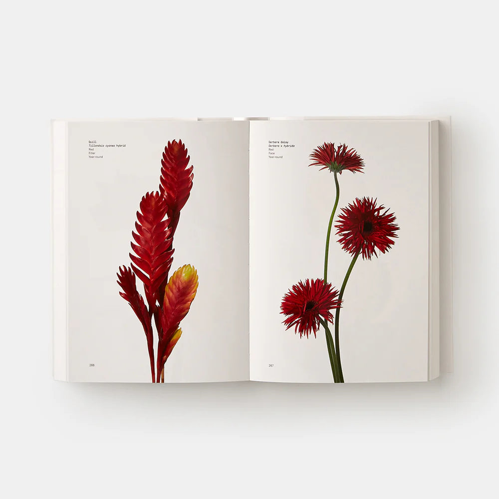 Taylor and Michael Putnam - Flower Colour Guide